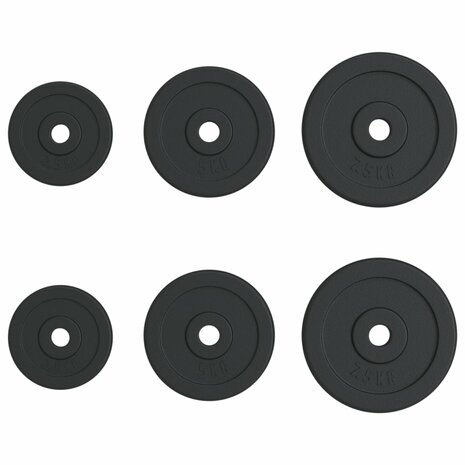 Halterschijven 6 st 30 kg gietijzer 3