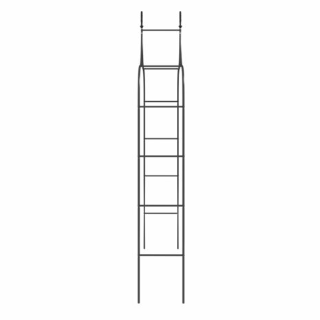 Tuinbogen 2 st 120x38x260 cm staal zwart 5