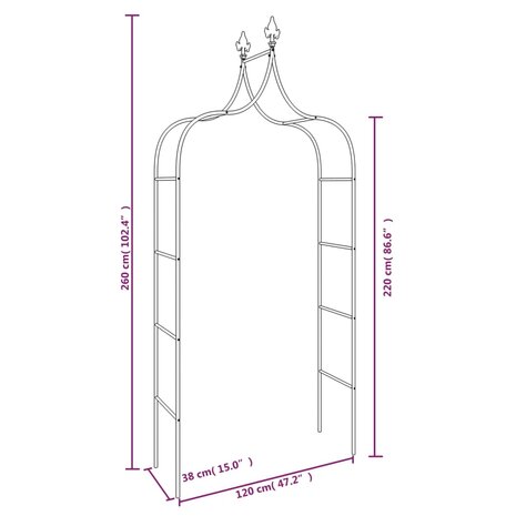 Tuinbogen 2 st 120x38x260 cm staal zwart 7