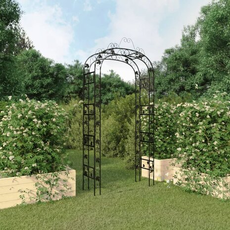 Tuinboog 116x45x240 cm staal zwart 1