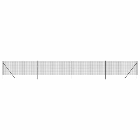 Draadgaashek 0,8x10 m gegalvaniseerd staal antracietkleurig 2