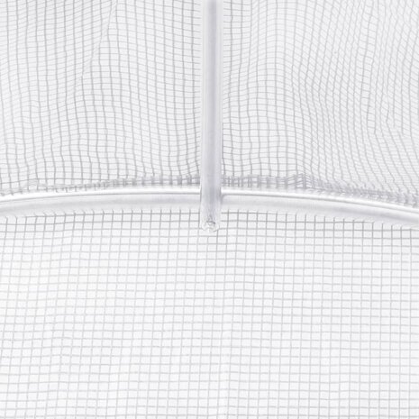 Tuinkas met stalen frame 24 m² 6x4x2 m wit 9