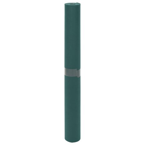 Vliesdoek voor planten 2 rollen 70 g/m² 10x1,6 m 4