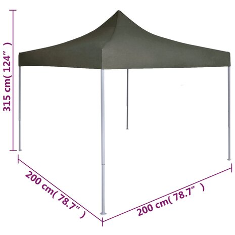 Partytent professioneel inklapbaar 2x2 m staal antraciet 9