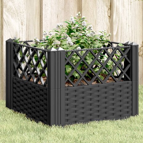 Plantenbak met pinnen 43,5x43,5x43,5 cm polypropeen zwart 1