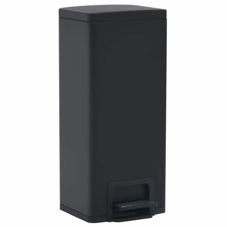 Pedaalemmer met anti-vingerafdruk 30 L RVS zwart 2