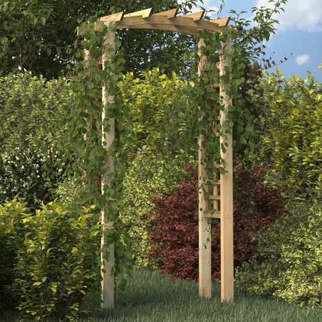 Tuinboog 110x60x210 cm geïmpregneerd massief grenenhout 1