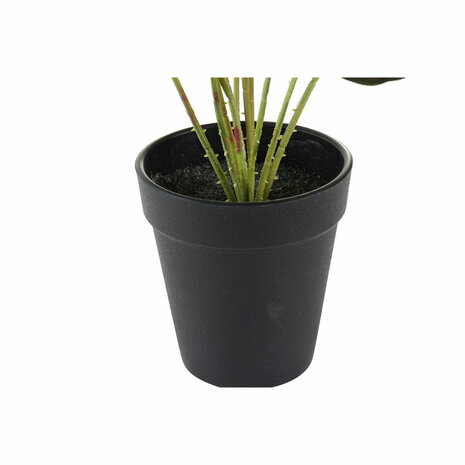Decoratieve plant DKD Home Decor Roze Groen PE (10 x 10 x 27 cm) 3