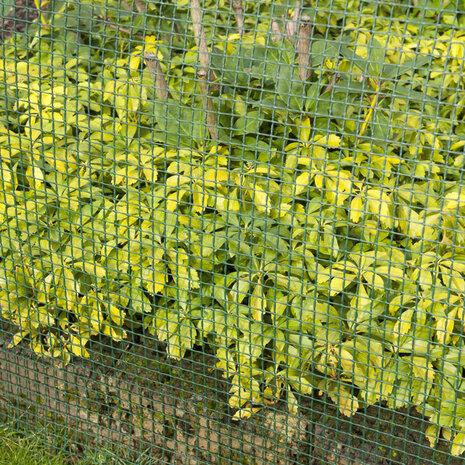 Nature Tuinscherm vierkant gaas 5x5 mm 1x3 m groen 3