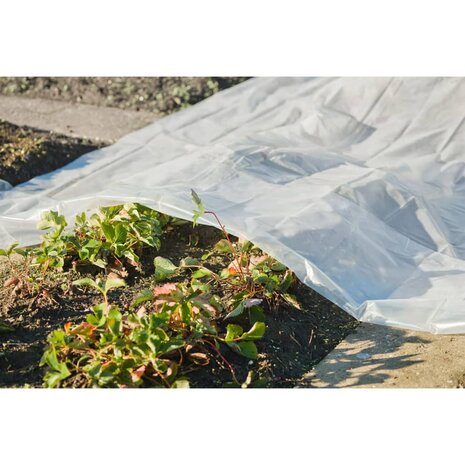 Nature Plantenhoes 4x6 m 100µ transparant 1