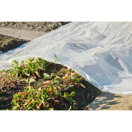 Nature Plantenhoes 4x6 m 200µ transparant 1