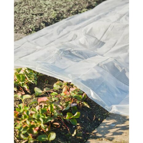 Nature Plantenhoes 4x6 m 200µ transparant 3