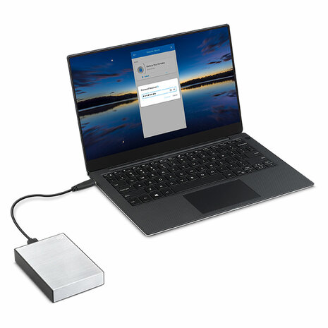 Externe Harde Schijf Seagate STKY1000401 Zilverkleurig 1 TB HDD 8