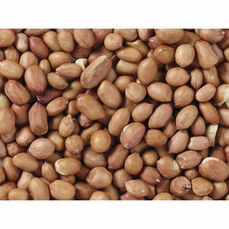 Vogelvoer Deli Nature Premium 1 kg 3