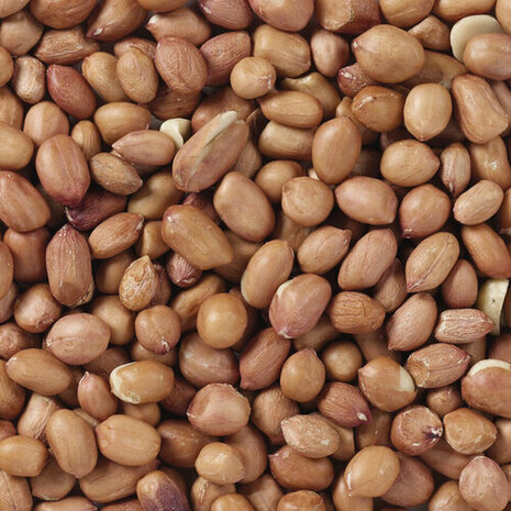Vogelvoer Deli Nature Premium 1 kg 4