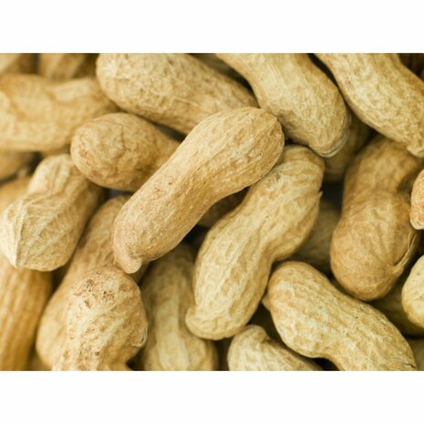 Vogelvoer Deli Nature Premium 1,6 kg 3