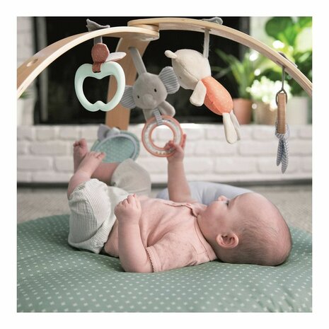 Speelkleed Ingenuity Omkeerbaar Hout 8