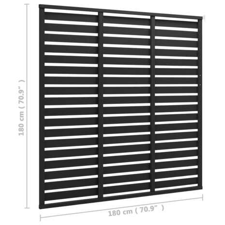 Schuttingpaneel 180x180 cm HKC zwart 4