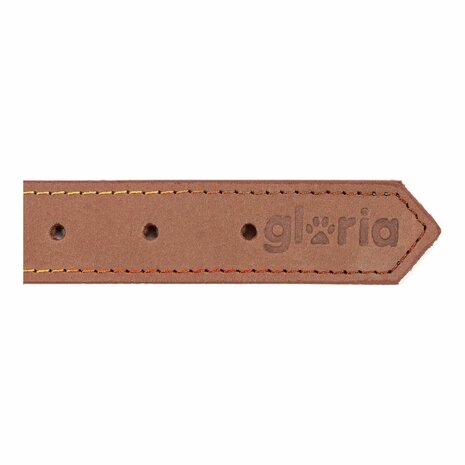 Hondenhalsband Gloria Oasis Bruin (1,2 x 35 cm) 6