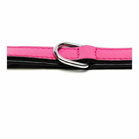Hondenhalsband Gloria Gestoffeerd Fuchsia (40 cm) (40 x 2 cm) 4