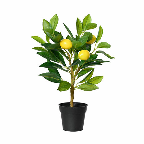 Decoratieve plant Everlands Plastic Citroenboom 17 x 24 x 43 cm 1