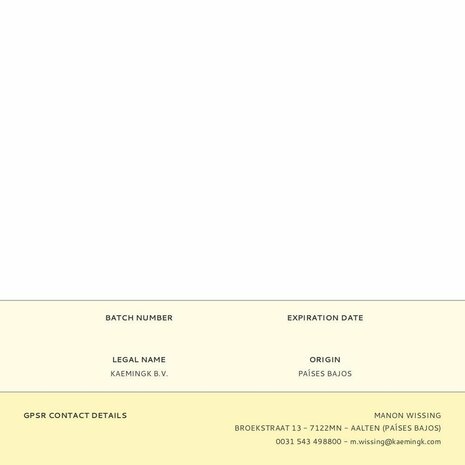 Decoratieve plant Everlands Plastic Citroenboom 17 x 24 x 43 cm 2