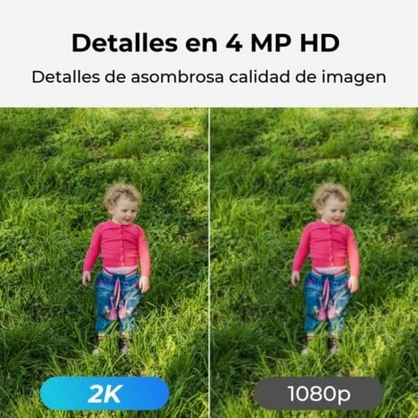 Beveiligingscamera Reolink 2