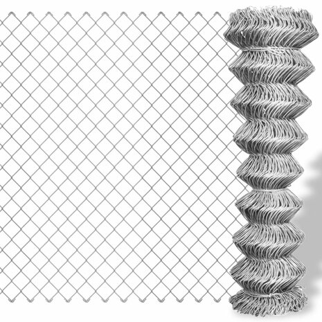 Gaashek 15x1 m gegalvaniseerd staal zilverkleurig 1