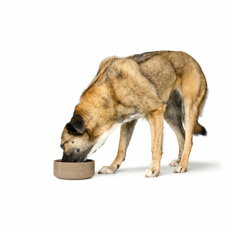 Voerbak voor honden Hunter OSBY Beige Keramisch 350 ml 4