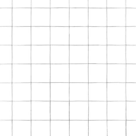 Kippengaas 25x0,5 m gegalvaniseerd staal zilverkleurig 4