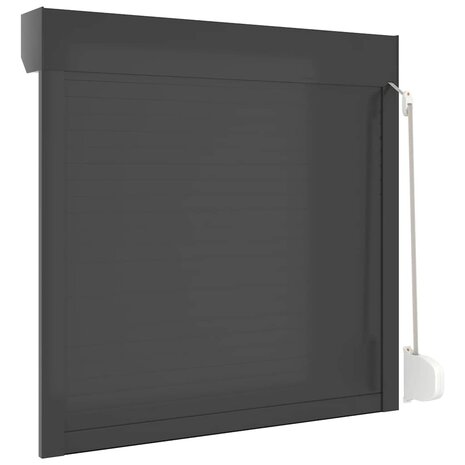 Rolluik 100x100 cm aluminium antracietkleurig 6