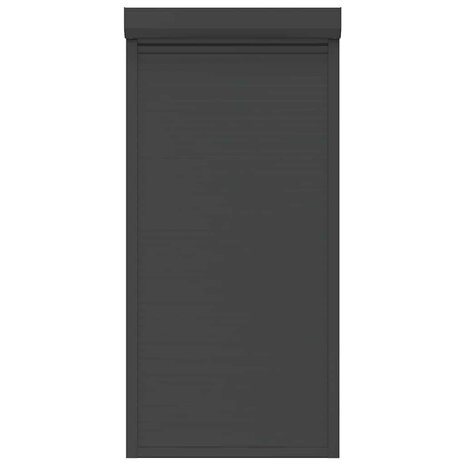 Rolluik 100x210 cm aluminium antracietkleurig 4