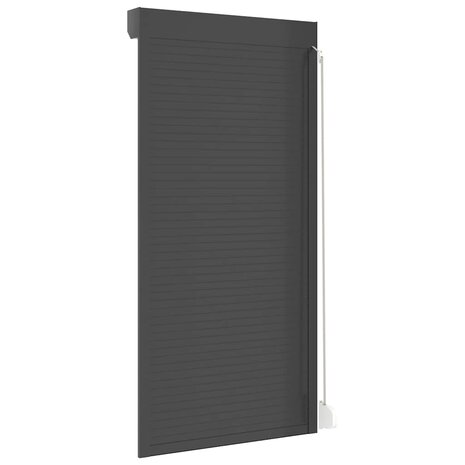 Rolluik 100x210 cm aluminium antracietkleurig 6