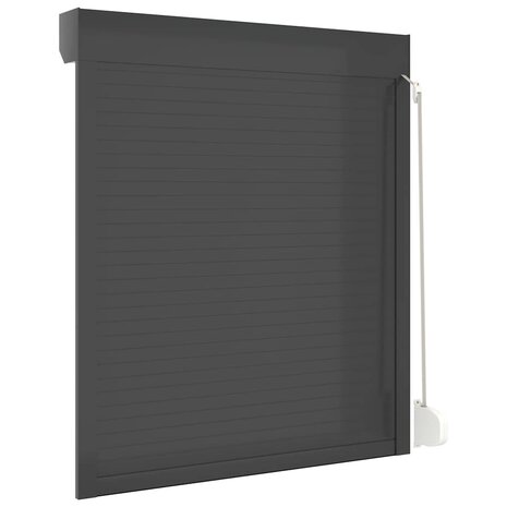 Rolluik 110x130 cm aluminium antracietkleurig 6