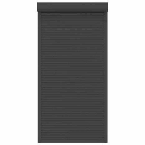 Rolluik 110x220 cm aluminium antracietkleurig 4
