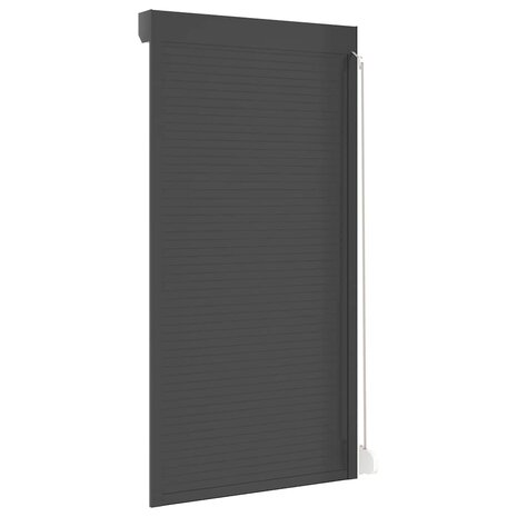 Rolluik 110x220 cm aluminium antracietkleurig 6