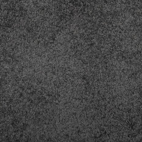 Vloerkleed PAMPLONA shaggy hoogpolig modern 60x110 cm antraciet 9