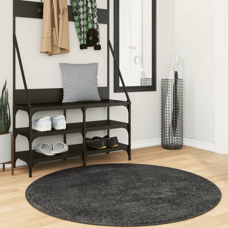 Vloerkleed PAMPLONA shaggy hoogpolig modern Ø 120 cm antraciet 1