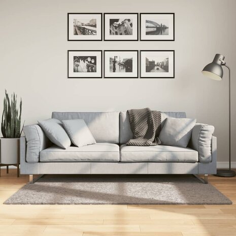 Vloerkleed PAMPLONA shaggy hoogpolig modern 80x150 cm beige 1