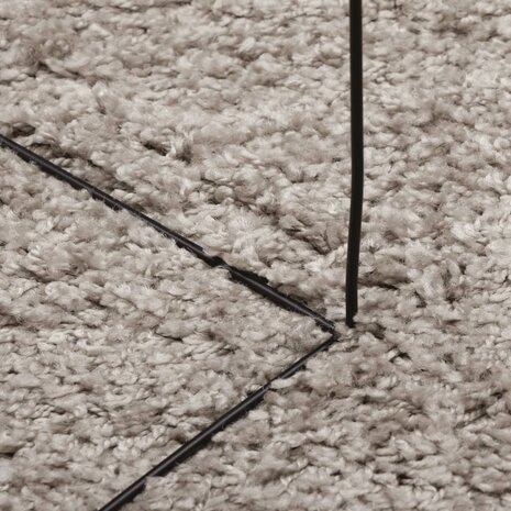 Vloerkleed PAMPLONA shaggy hoogpolig modern 80x150 cm beige 8