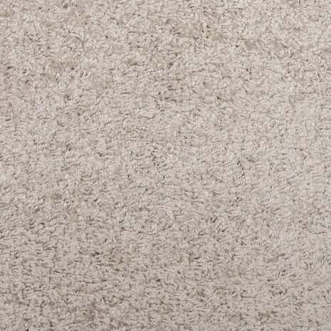 Vloerkleed PAMPLONA shaggy hoogpolig modern 80x150 cm beige 9