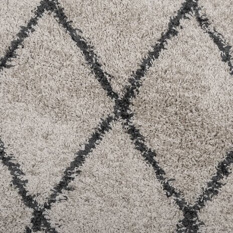 Vloerkleed PAMPLONA shaggy hoogpolig Ø 120 cm beige antraciet 9