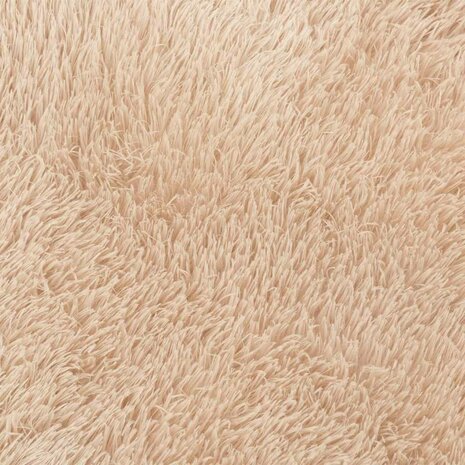 Hoogpolig vloerkleed NAVARRA 120x170 cm polyester beige 9