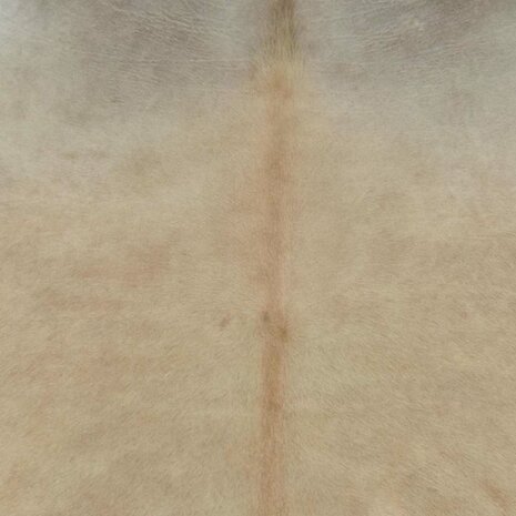 Vloerkleed 180x220 cm echte koeienhuid beige 3