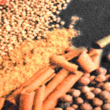 Keukenmat wasbaar Spice 45x150 cm 4