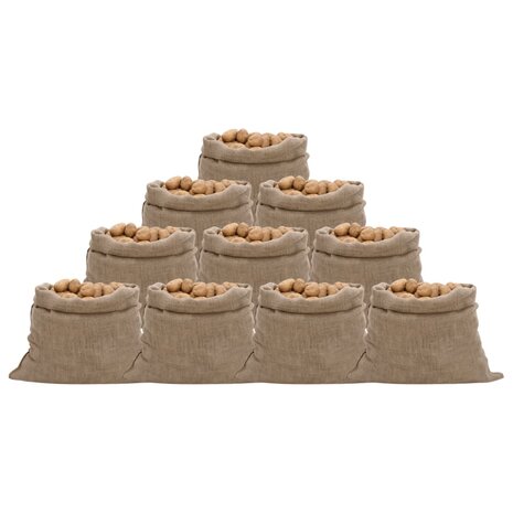 Jutezakken 10 stuks 220 g/m² 100x110 cm 100% jute 1