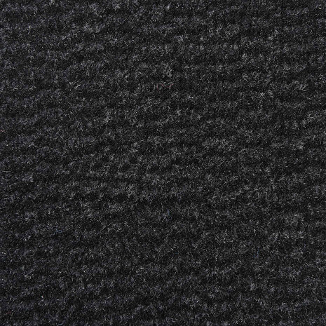 Deurmat 40x60 cm zwart 6
