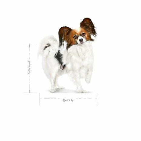 Voer Royal Canin Adult x- small SHN Vogels 500 g 2