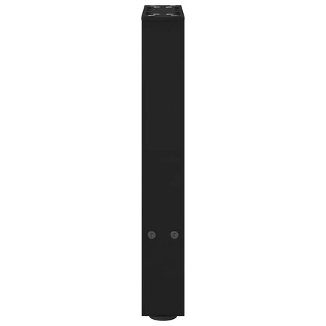 Salontafelpoten 2 st 28x(42-43) cm staal zwart 6