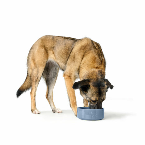 Voerbak voor honden Hunter OSBY Blauw Keramisch 350 ml 2